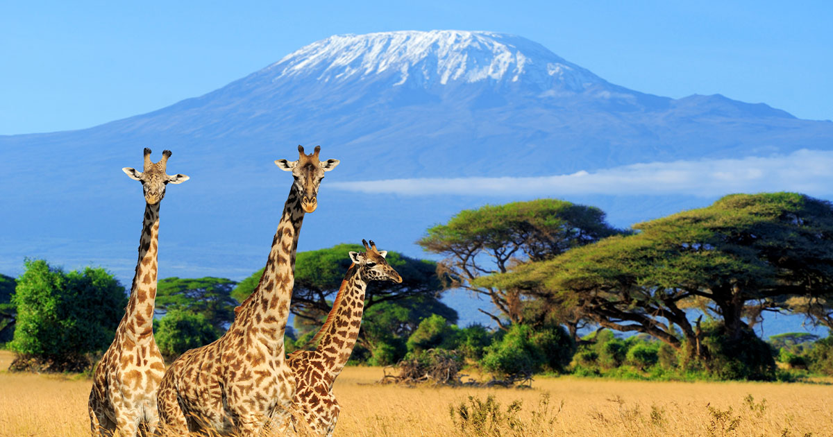 worlds best hike - Mount Kilimanjaro, Tanzania