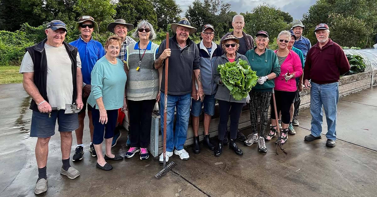 Growing goodness - Veggie gardens given the thumbs up