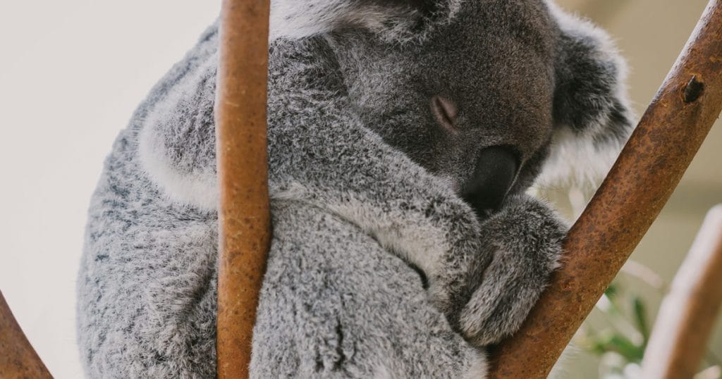 Fabulous fun with friends