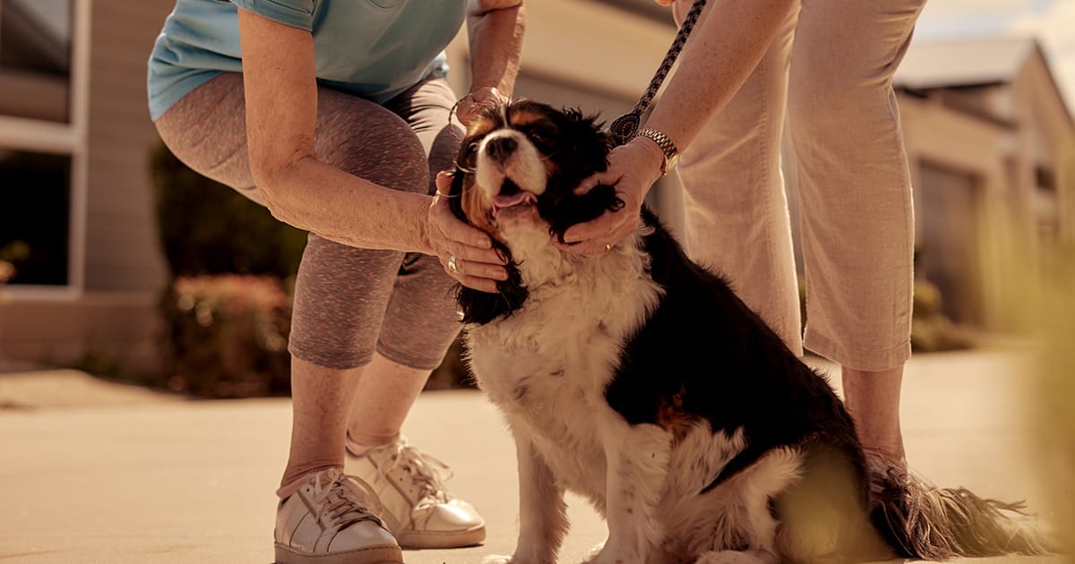 Welcoming your pets to Living Gems