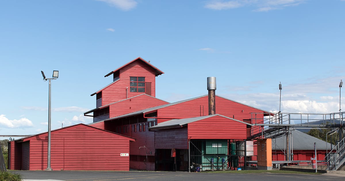 Celebrate Men’s Day with mates