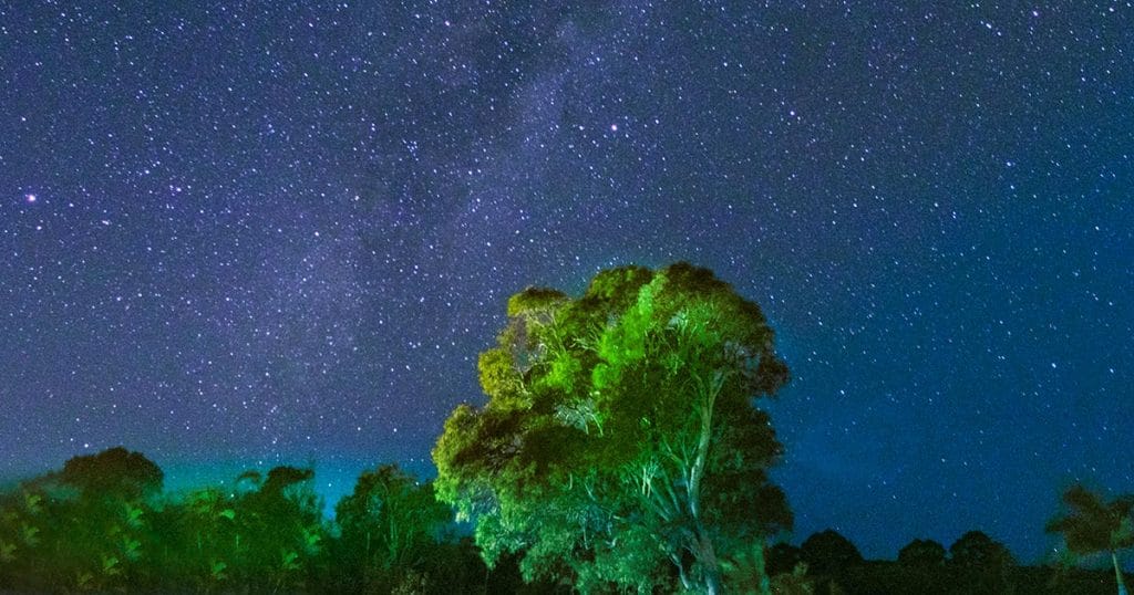 Photo contest winner October