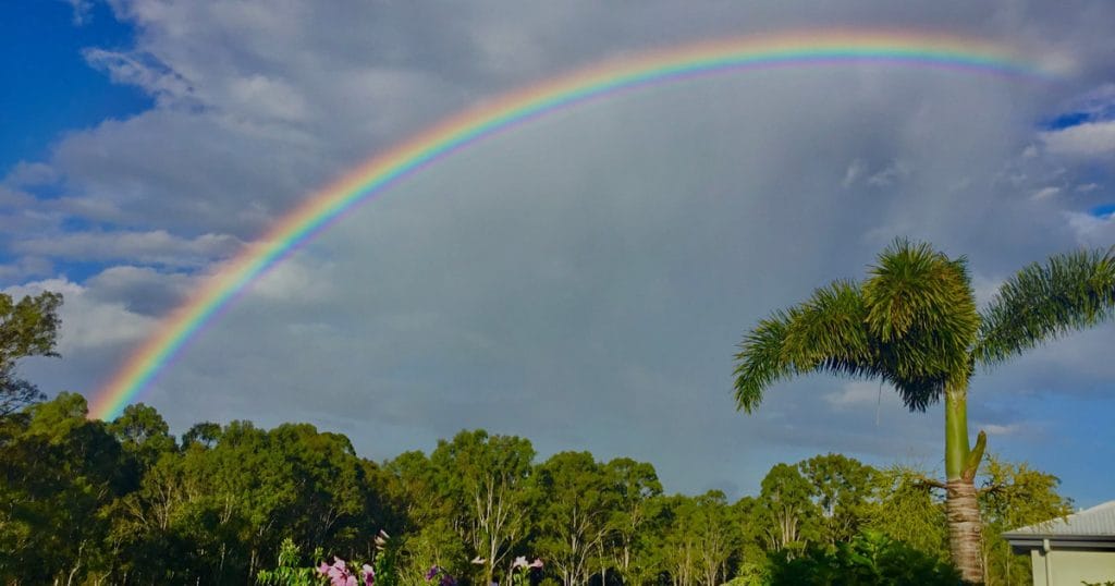 Frame that shot - May