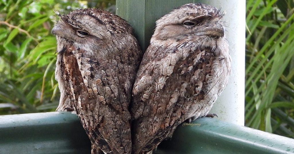 Frame that shot - May