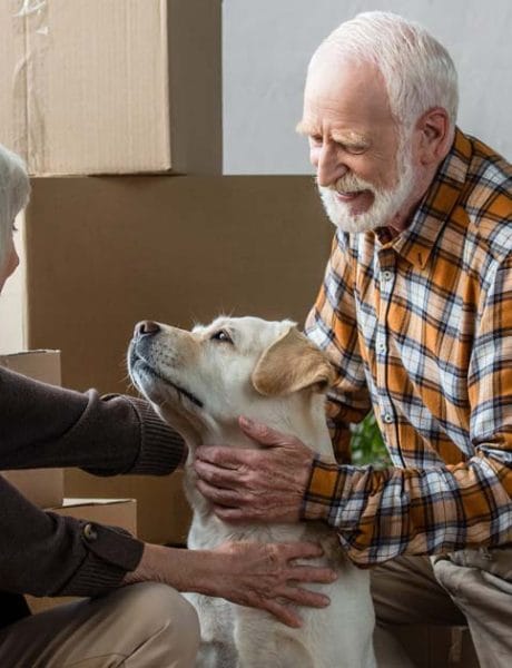 Retirement living options