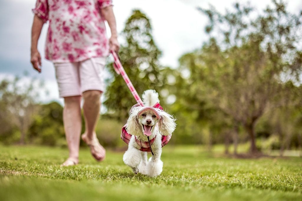 Downsizing to suit your needs